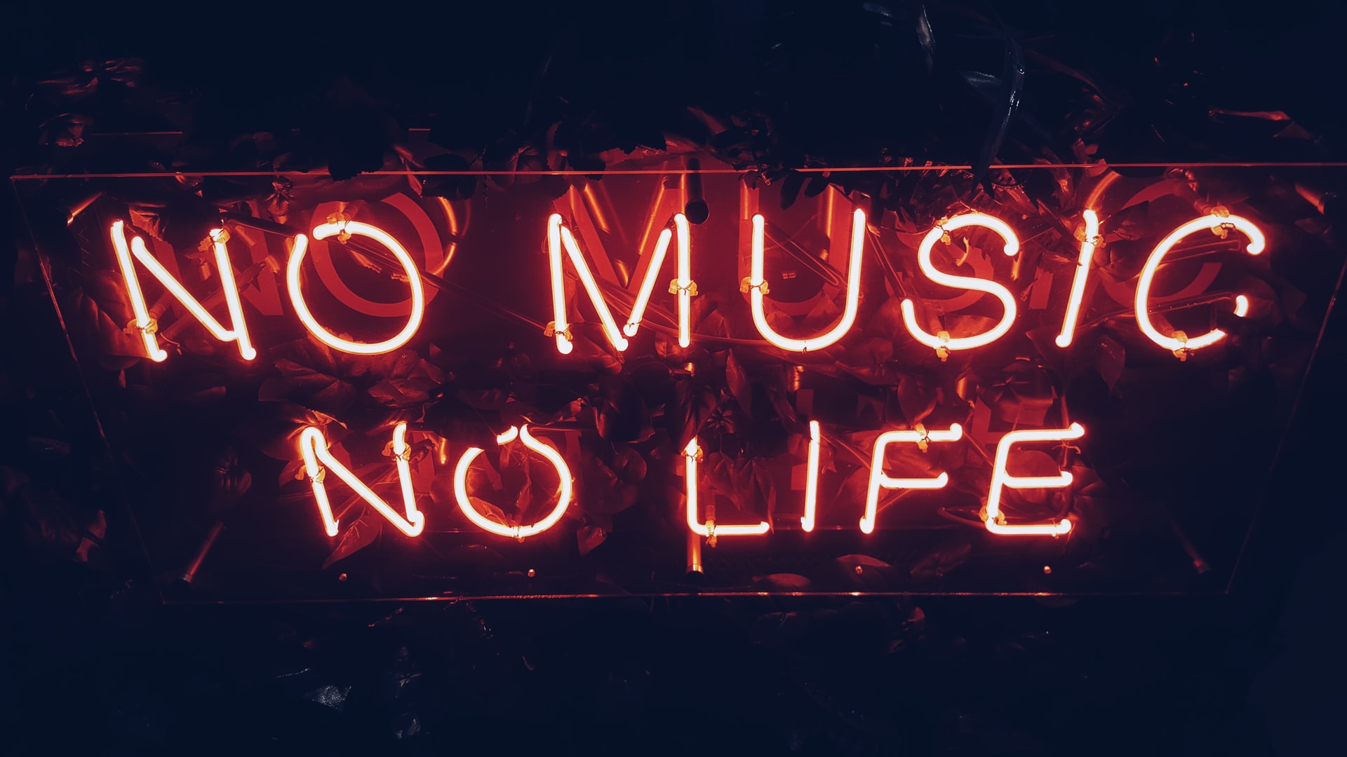 No Music, No Life