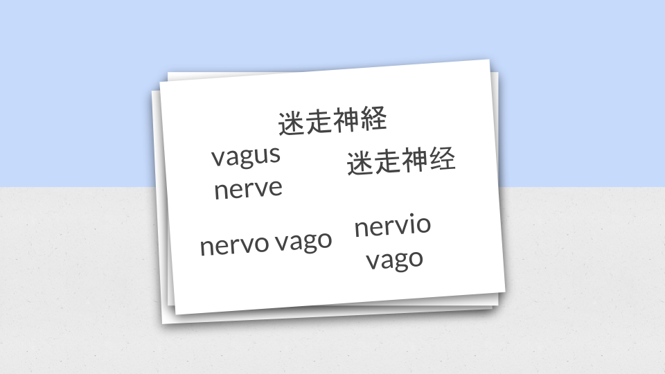 Vagus nerve